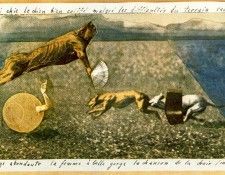 03533. �����, ����