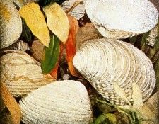 19072. Quetglas, ������