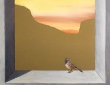 bird. Zetterstrand, ���������