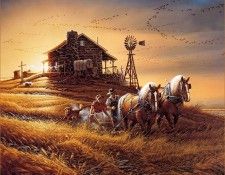 RArt SWD TR For Amber Waves of Grain. Redlin �����