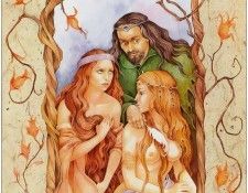 f DMI 45 ZephirDElph06. �����, Zephir