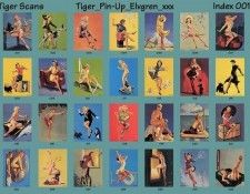 TIGER PIN-UP ELVGREN IDX001.  Elvgren
