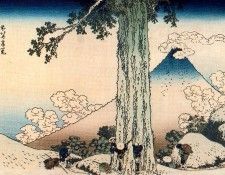 pic09613. �������