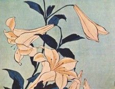 hokusai lilies. 