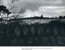 image 292. Eisenstaedt - ��������