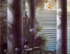 Craft, KY - Cinderella 10 (end. , Kinuko Y