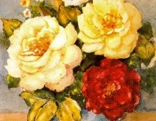 36721. Боннин Франциско