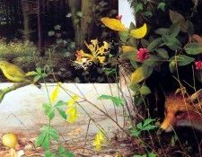 an artists garden csg004. ���, �������