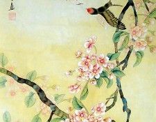 Shen Mei5h3008. , 