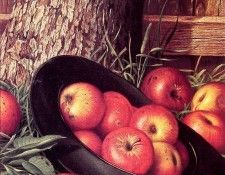 Still Life of Apples in a Hat. ,  