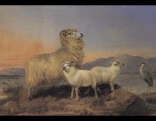 A Ewe with Lambs and A Heron Beside A Loch. Ansdell, 