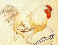 4DPictuyj. Pinole, �������