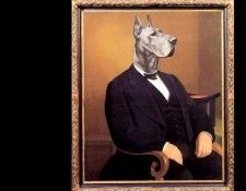 dog portraits csg002 lars hamlet knudsen. , 