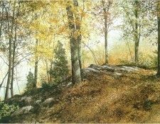 HendershotRay UpInTheWoods sj. Hendershot, 