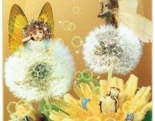 kb Cross Tom Sp Dandelion Fairy. , 