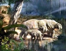 dinosaurs csg012 placerias. , 