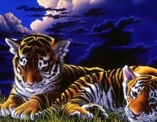 jw Shimm Shimmel Wall 004. �������, Shimm