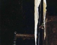 img584. Wyeth, 