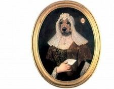 dog portraits csg043 frau irmtraud katzundhunde. , 