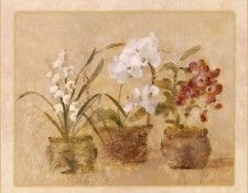 42555. ����, Cheri