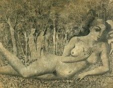 13485. ������, �����