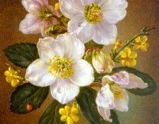 Kennedy Cecil Winter. , 