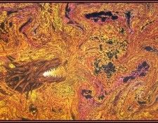 Ciruelo BotD Fire Dragon 2 D50. ������, �����