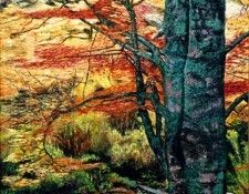 30307. �������, IC