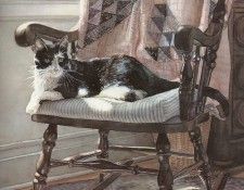 Hanks Steve The Cats Lair. �����, ����