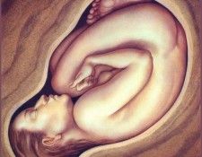 lrsSPEC11-257-KunzAnita-Womb. , 