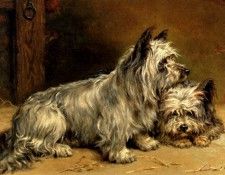 12137. �����, �����