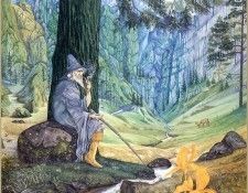 QMan RG GOF 804 Gandalf. �������, ������