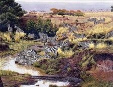 Agnew, Al - You Can Lead a Zebra (end. , Al