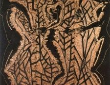 42023. Corredoira, ������