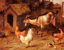 Hunt Edgar Fowl  Chicks And Goats By A Dog Kennel. ����, �����
