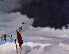 Mark Eberhard - Chickadees (detail), De. ��������, ����