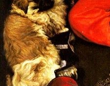 dogyear2. ��� Yuqi