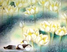 Shen Mei 5e0813. , 