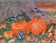 cr LauraWestlake-BluejaysFirstAutumn. Westlake, 