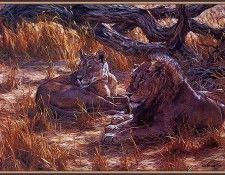 bs-na- Julia Noffsinger Rogers- Samburu Courtship. �������, ������ Noffsinger