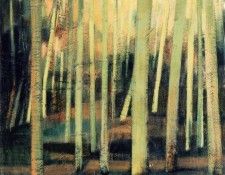 16972. Fortis, ������ Ozamiz