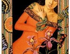 zFox SDC 037 IS09 Lori Nelson Field 03. ����, ���� �������