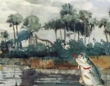 Homer Winslow Black Bass Florida. , 