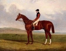 25906. ���� �������� ������� �������