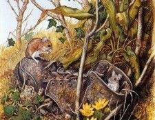 Twinney Dick Nature 038 Sun. Twinney, ���