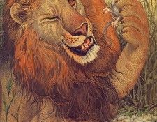 lrsDailyDonLion&theMouse.  