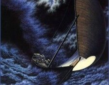 QMan MEm HD 972 She-The Storm. , 