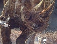 IanMcGuire CominThrough ec. Guire, ��� ���-