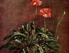Constable John Study for poppies Sun. ��������� ����