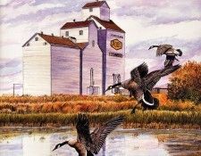 Yvonne Kydd - Edenwold Elevators (detail), De. ����, �����